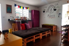Alaya-04